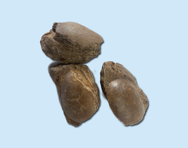 高纯镁砂1.jpg